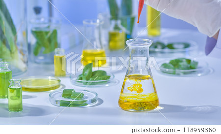Scientist carefully pours orange liquid into a transparent liquid-filled flask. Aloe samples and other liquids are arranged around the laboratory table. A instance of an aloe vera product photo. 118959360