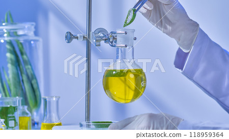 A spherical flask filled with a yellow fluid, a scientist gathering aloe vera pieces, and an aloe vera experiment photo sample are all part of a simple laboratory setup. 118959364