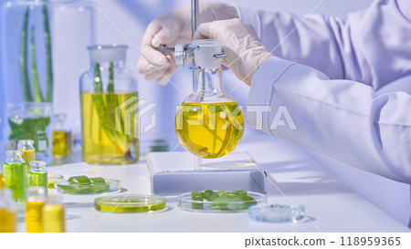 A scientist erecting a platform holding a spherical flask filled with solution-soaked aloe. Aloe samples soaked in different liquids are under the table. A contemporary lab equipped with all the tools A scientist erecting a platform holding a spherical flask filled with solution-soaked aloe. Aloe samples soaked in different liquids are under the table. A contemporary lab equipped with all the tools 118959365