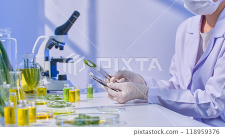 A lab picture template of aloe that is appropriate for aloe vera content shows a scientist using tweezers to examine peeled and unpeeled aloe while surrounded by supplies and equipment for studies. A lab picture template of aloe that is appropriate for aloe vera content shows a scientist using tweezers to examine peeled and unpeeled aloe while surrounded by supplies and equipment for studies. 118959376