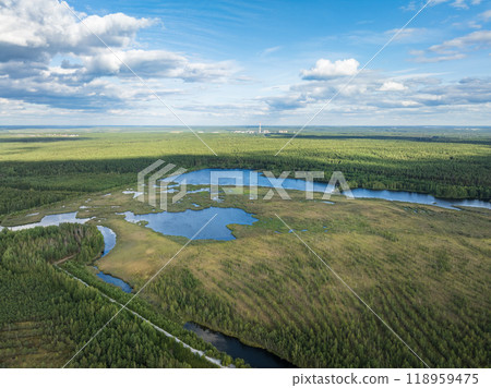 Aerial view of lake or river green shore with forest. Summer season. 118959475