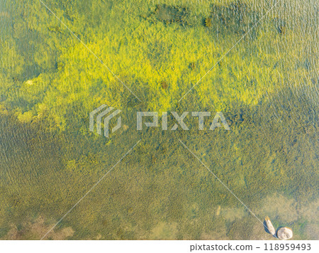Aerial view of lake or river green shore with forest. Summer season. 118959493