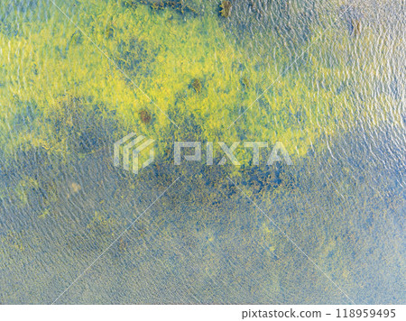 Aerial view of lake or river green shore with forest. Summer season. 118959495