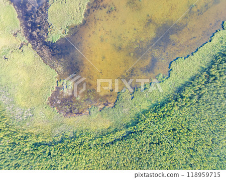 Aerial view of lake or river green shore with forest. Summer season. 118959715