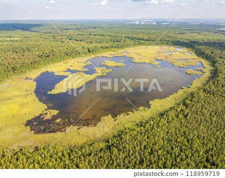 Aerial view of lake or river green shore with forest. Summer season. 118959719
