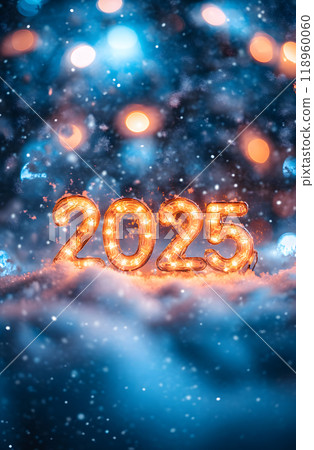 2025 年雪夜 2025 年照明雪景 118960060