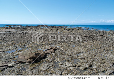葉山柴崎海岸 118960158