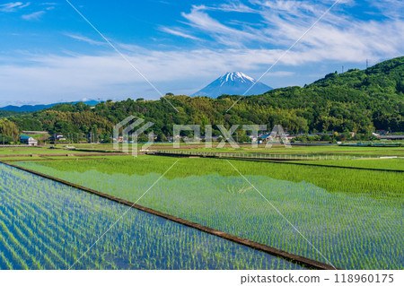 [Shizuoka Prefecture] Inverted Mt. Fuji reflected in the rice fields of the Tanna Basin 118960175