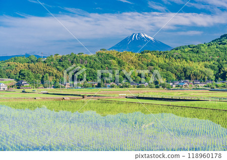 [靜岡縣] 倒映在丹納盆地稻田裡的富士山 118960178
