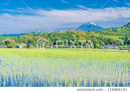 [Shizuoka Prefecture] Inverted Mt. Fuji reflected in the rice fields of the Tanna Basin 118960183