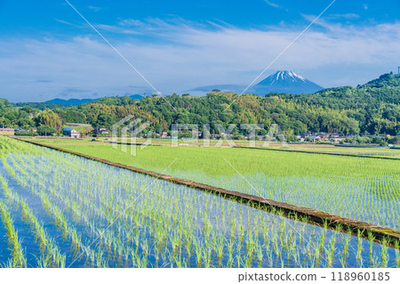 [Shizuoka Prefecture] Inverted Mt. Fuji reflected in the rice fields of the Tanna Basin 118960185