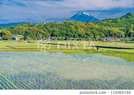 [靜岡縣] 倒映在丹納盆地稻田裡的富士山 118960188