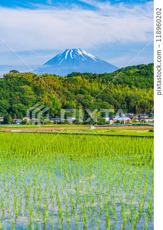 [Shizuoka Prefecture] Inverted Mt. Fuji reflected in the rice fields of the Tanna Basin 118960202