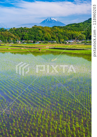 [Shizuoka Prefecture] Inverted Mt. Fuji reflected in the rice fields of the Tanna Basin 118960203