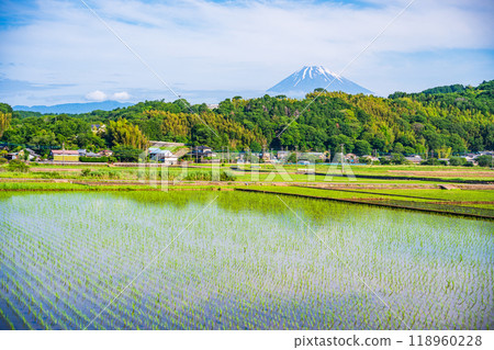 [靜岡縣] 倒映在丹納盆地稻田裡的富士山 118960228