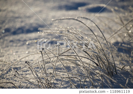 Cold beauty of snowy day with frost covered grass 118961119
