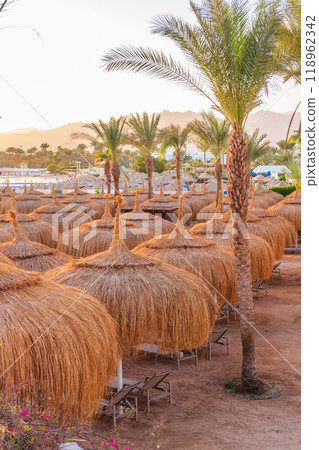 Straw umbrellas on empty beach. Beautiful empty beach with sun umbrellas and sunbeds 118962342