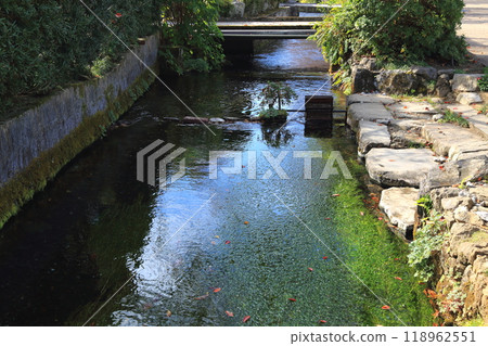 中山道鮫貝旅館步行 5(滋賀縣鮫貝旅館) 中山道鮫貝旅館步行 5(滋賀縣鮫貝旅館) 118962551