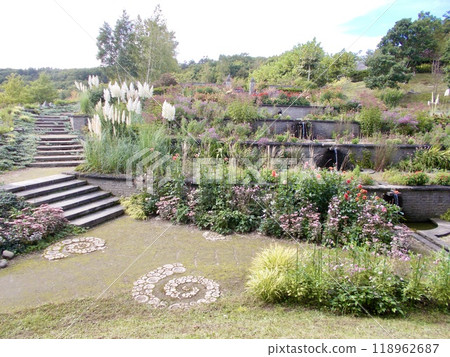 Farewell Galaxy Garden 118962687