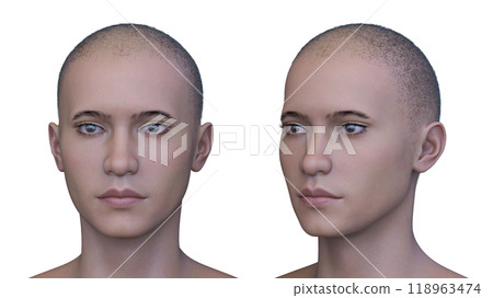 男人的臉部特寫 118963474