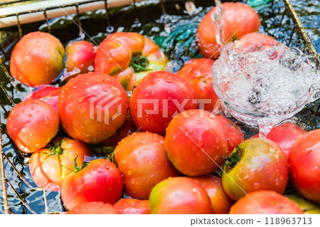 Chilled Tomatoes - Summer Vegetables 118963713