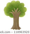 Apple tree  illustration, simple shapes style. 118963920