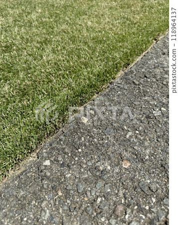 The boundary between the grass and asphalt at a cutting height of 2cm 118964137