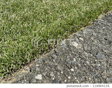 The boundary between the grass and asphalt at a cutting height of 2cm 118964138