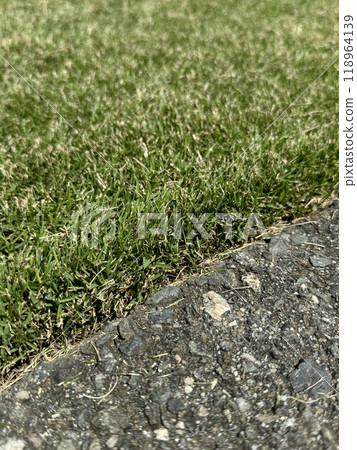 The boundary between the grass and asphalt at a cutting height of 2cm 118964139