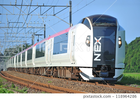 總武本線 櫻花物井 JR東日本 E257系 Ne015編組（鎌倉） NEX成田特快 118964286