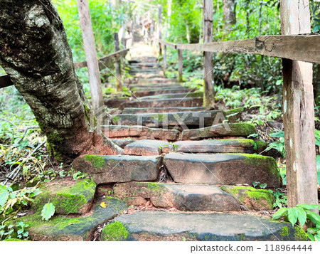 stone steps in the garden, stone staircase covered in green moss, nestled within a dense, lush forest. The pathway winds upwards, flanked by wooden rails and surrounded by vibrant vegetation 118964444