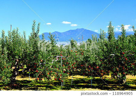 View of Takayasan from Obuse Town (Obuse Town, Nagano Prefecture) [September 2024] 118964905