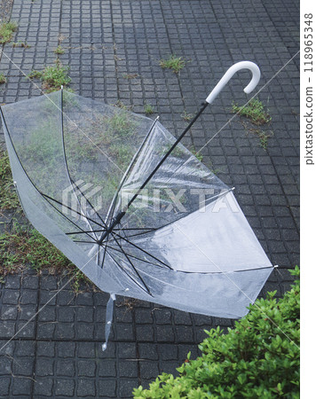 A plastic umbrella with raindrops on it, lying on the ground 118965348
