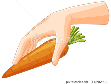 Hand Holding a Fresh Carrot 118965529