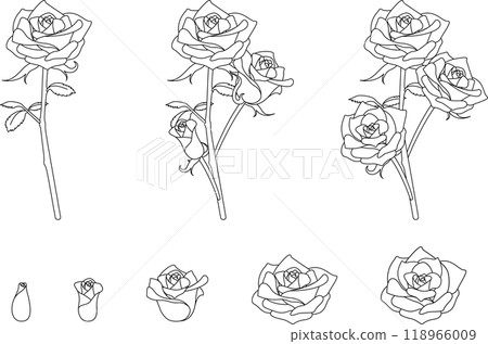 簡單玫瑰套裝單色 118966009