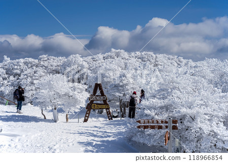 《冬景絕景》禦在勝岳三條公園的樹木被霜覆蓋 118966854