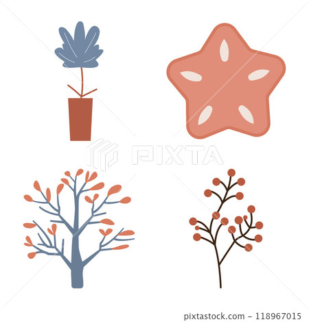 Winter Stuff Collection of Nature Mistletoe Plant Star 118967015