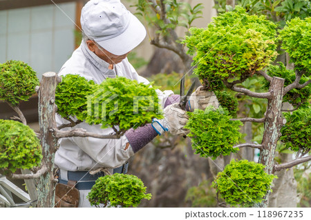 在職年長者為當地社區貢獻 花園樹木修剪服務 在職年長者為當地社區貢獻 花園樹木修剪服務 118967235