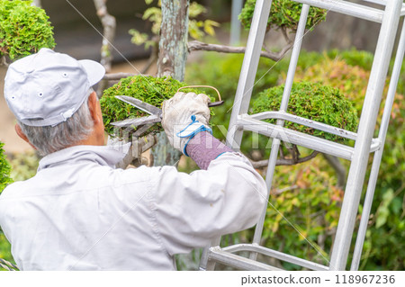 Working seniors contribute to the local community Garden tree pruning service Working seniors contribute to the local community Garden tree pruning service 118967236