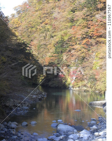Tanzawa Nature: Autumn (Kanagawa Prefecture) Tanzawa Nature: Autumn (Kanagawa Prefecture) 118967567
