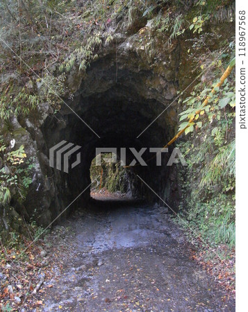 Tanzawa Nature: Autumn (Kanagawa Prefecture) Tanzawa Nature: Autumn (Kanagawa Prefecture) 118967568