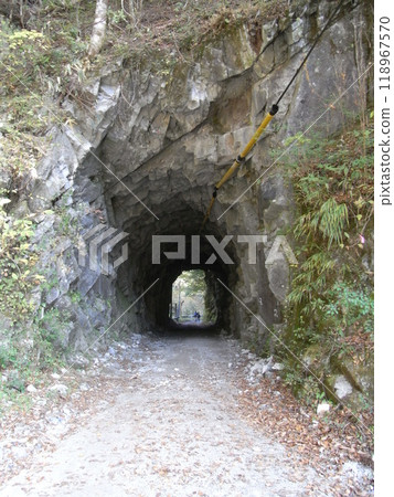 丹澤的自然/秋天(神奈川縣) 丹澤的自然/秋天(神奈川縣) 118967570