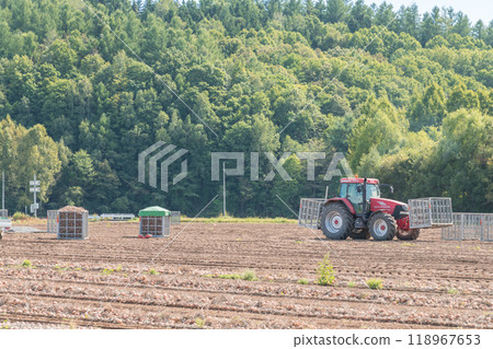 [富良野市洋蔥收穫與拖拉機] 118967653