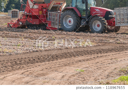 [Furano City: Onion harvest and tractor] 118967655