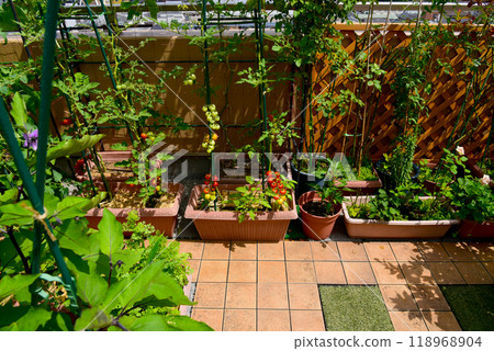 Home gardening: Growing vegetables in a planter: Cherry tomatoes and eggplants 118968904