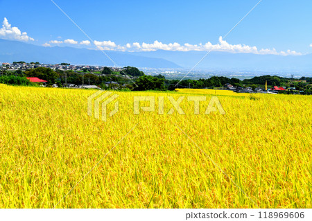 從南阿爾卑斯市（中野梯田）眺望甲府盆地（山梨縣南阿爾卑斯市） [2024.9] 118969606