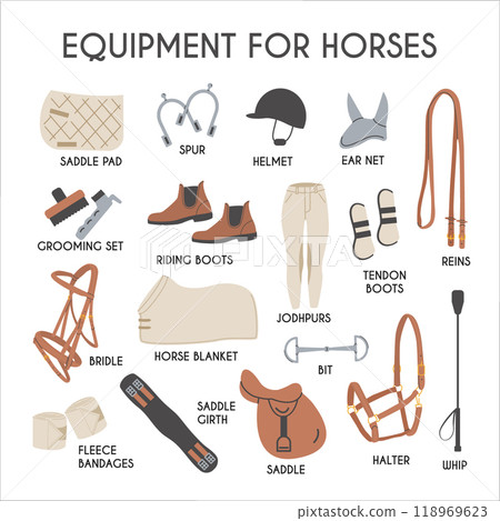 Equipment for horses infographic poster. Horse riding vector colored flat hand drawn icons. Equestrian equipment illustrations in trendy modern style. Equine sports tack. Yard ammunition card. 118969623