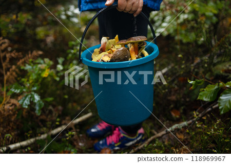 Woman with mushrooms in plastic basket in autumn forest. Harvesting edible mushroom in woodland. Fall season 118969967