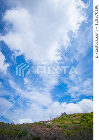 藏王的鍋 118970196