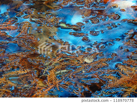 Autumn water surface 118970778